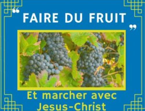 Faire du fruit avec Jésus-Christ